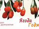 ягоды годжи ярославль екатеринбург
