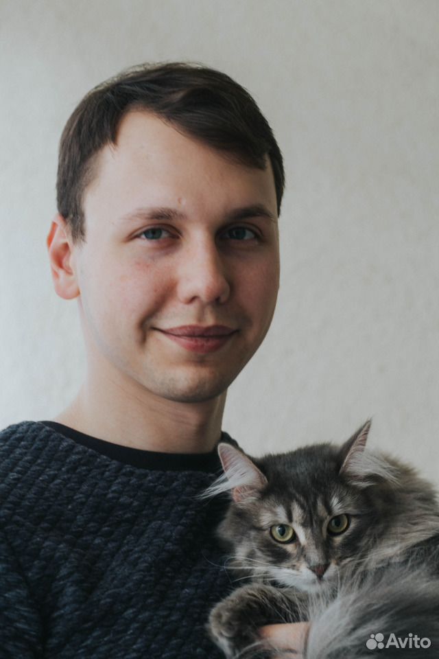 Кошечка Дымка в добрые руки купить на Зозу.ру - фотография № 4