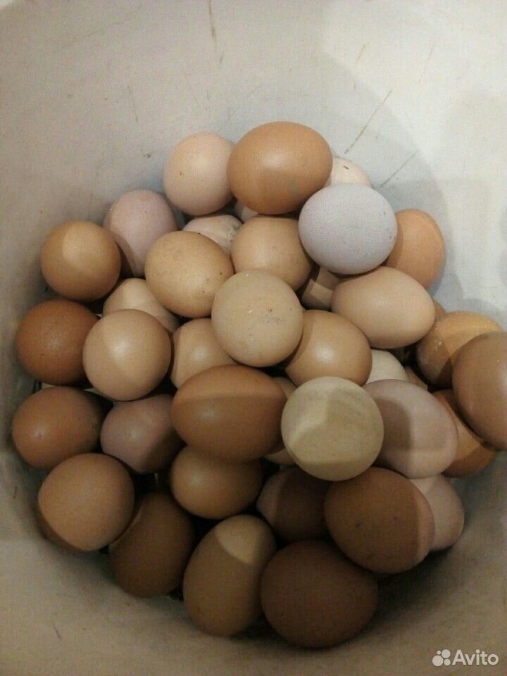 Яйцо куриное домашнее за 3десятка купить на Зозу.ру - фотография № 1