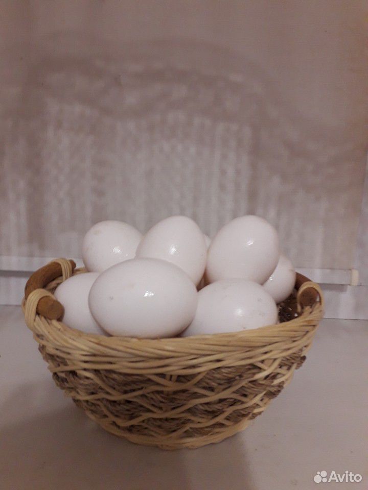 Яйцо домашнее купить на Зозу.ру - фотография № 2