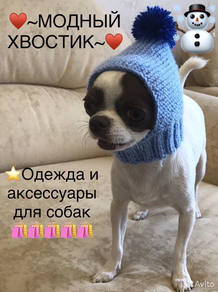 Шапочки для собак мелких пород купить на Зозу.ру - фотография № 4