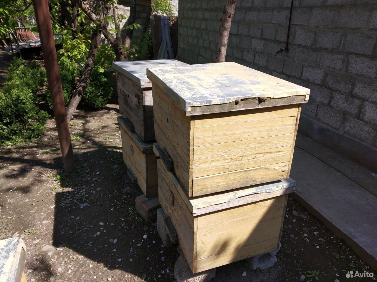Пчелиные ящики купить на Зозу.ру - фотография № 3