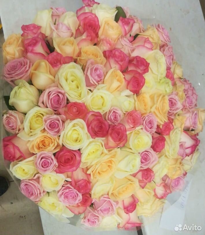 Купить Букет 101 Роза Саратов