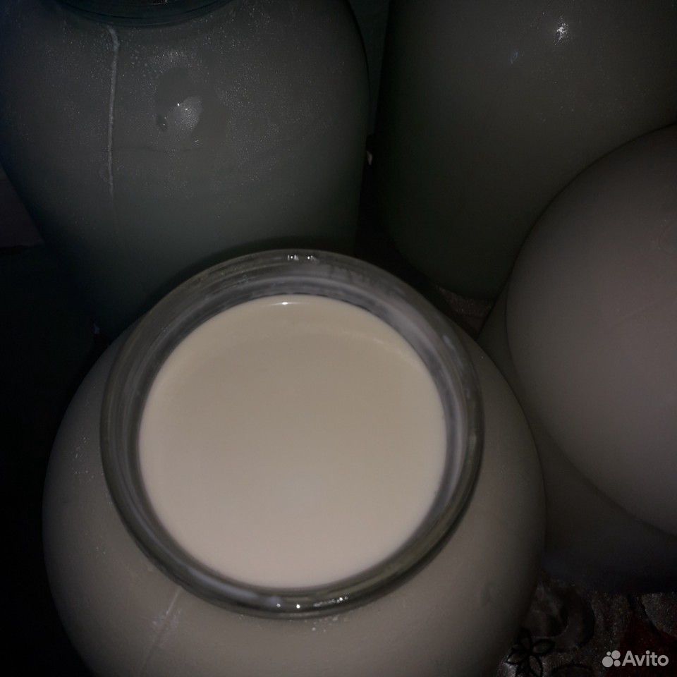 Молоко и сметана купить на Зозу.ру - фотография № 2