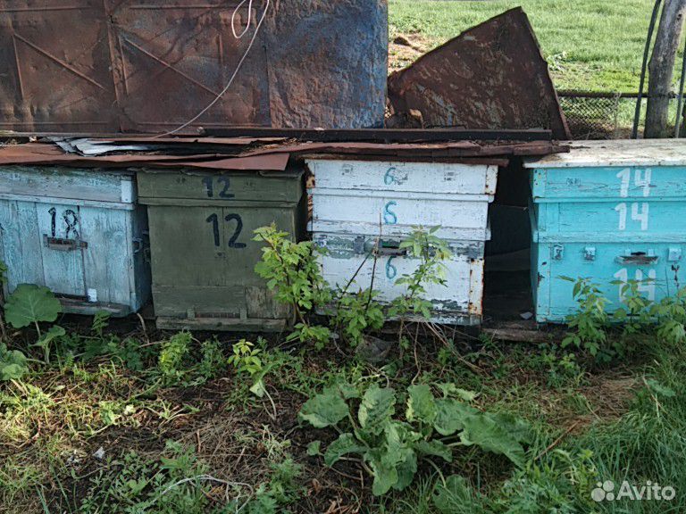 Ульи б/у, раздвижная платформа для перевозки пчёл купить на Зозу.ру - фотография № 1