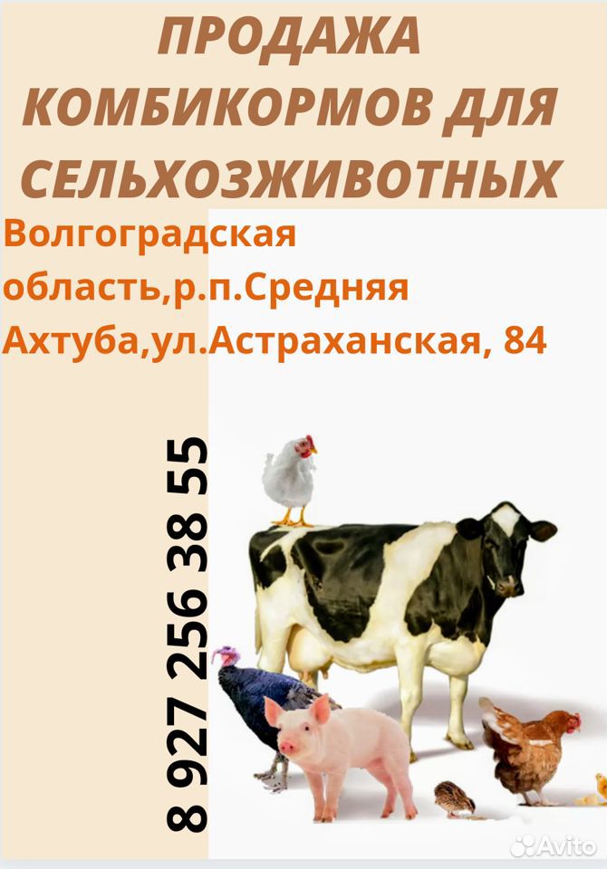 Комбикорм от производителя для С/Х животных И птиц купить на Зозу.ру - фотография № 1