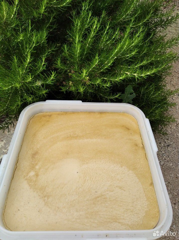 Мёд, 100 процентов натуральный, разнотравье купить на Зозу.ру - фотография № 3