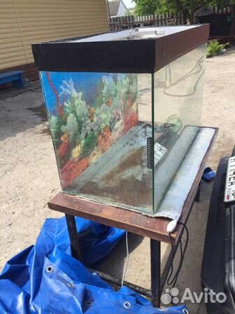 Продам аквариум 300 лит купить на Зозу.ру - фотография № 4