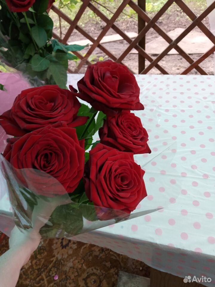 Букет из 5 роз купить на Зозу.ру - фотография № 2