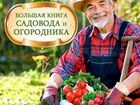 Закупщик Фрукти Овощей объявление продам