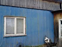 Купить Дом В Ханты Мансийске На Авито