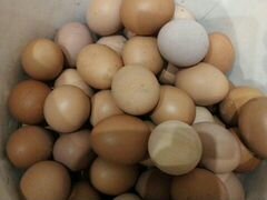 Яйцо куриное домашнее за 3десятка