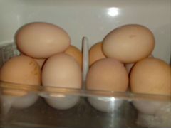 Яйцо инкубационное Джерсийский гигант черный