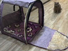 Палатка выставочная для кошек