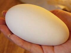 Продаю яйцо инкубационное гусиное Линда