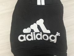 Одежда для собаки
