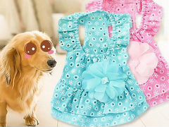 Платье для собак