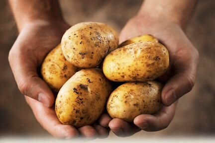 Деревенская картошка с бесплатной доставкой