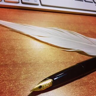 Перьевая ручка «Pilot»