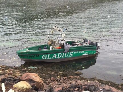 Моторная лодка seawind gladius 520
