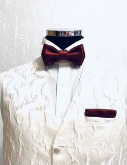 Бабочка-галстук Натуральный Шёлк Бордо