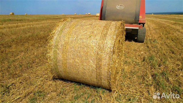 Сено в рулонах
