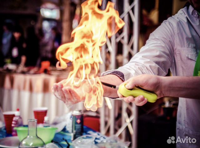 Научное шоу, аниматор