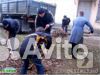 Возьмемся за любую работу не требующую квалификаци