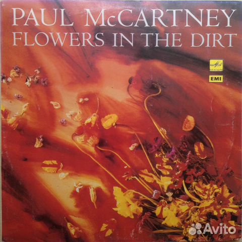 Paul McCartney 