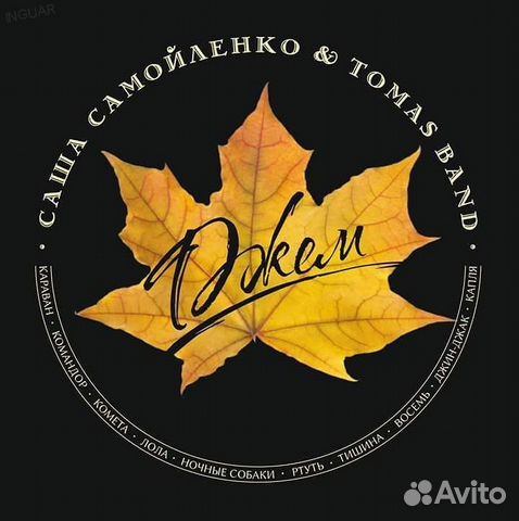 Cаша Cамойленко Tomas band 