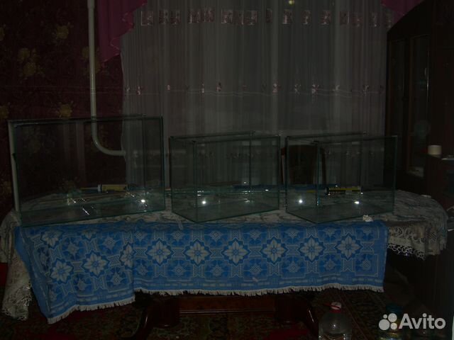 Продается рыбки и аквариумы, артемия цисты купить на Зозу.ру - фотография № 9
