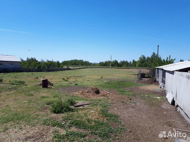 28 участок. Воронежская область Совхоз Большевик. Хреновая база.