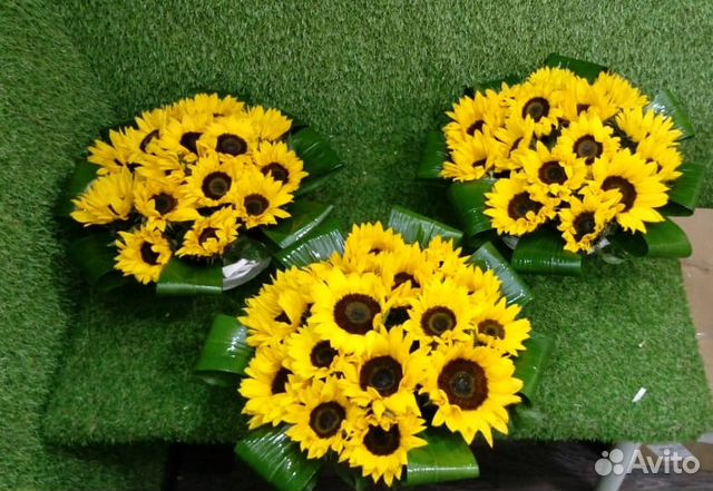 19 подсолнухов в коробке 19 подсолнухов в коробке