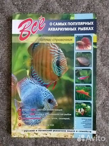 Всё об аквариумных рыбках