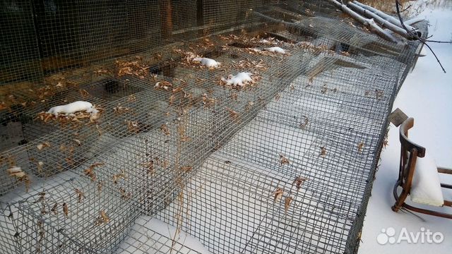 Клетки для песцов,лисиц,норок,кроликов купить на Зозу.ру - фотография № 3