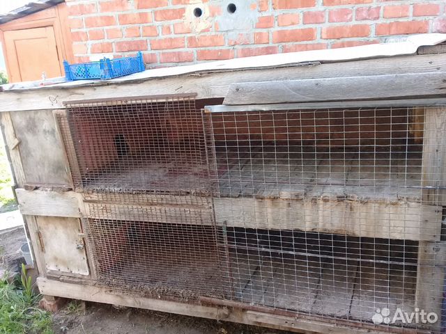 Две клетки для кроликов купить на Зозу.ру - фотография № 2