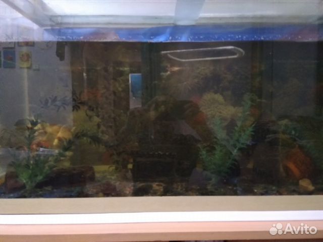 Продам аквариум с тумбой купить на Зозу.ру - фотография № 2