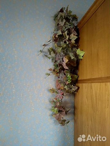 Виноградная лоза- не отличить от живой