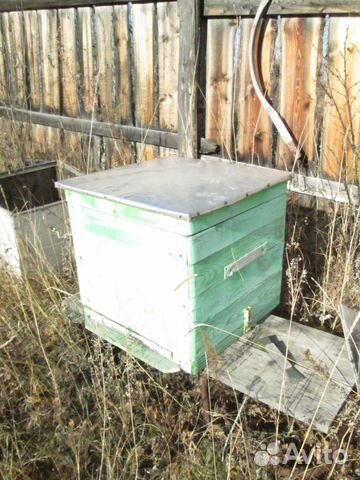 Ульи для пчел купить на Зозу.ру - фотография № 3