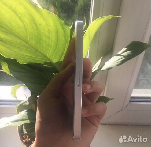 iPhone 5s iPhone 5s
