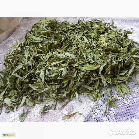 Иван чай-сухой лист