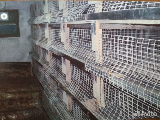 Клетки для домашней птицы купить на Зозу.ру - фотография № 1