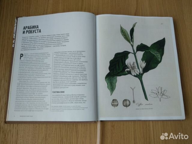 Книга Книга