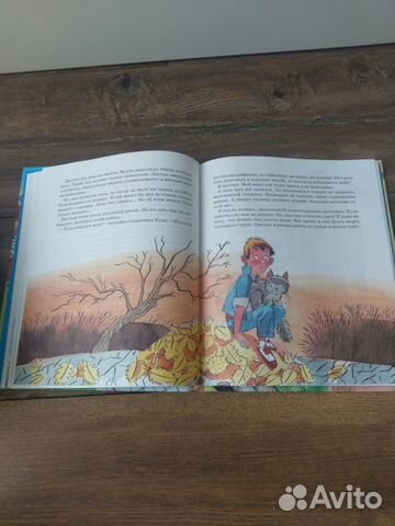 Книга В стране невыученных уроков