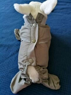 Комбез для щенка