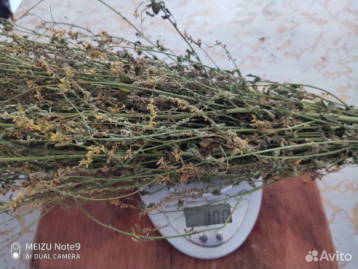 Травы для бани