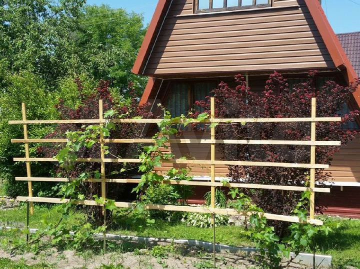 Дача 36,3 м² на участке 5,5 сот.