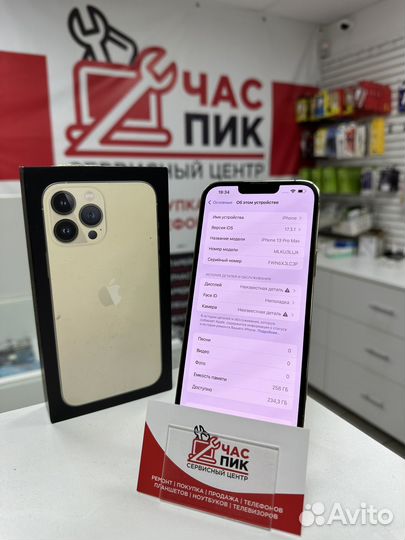 iPhone 13 Pro Max, 256 ГБ