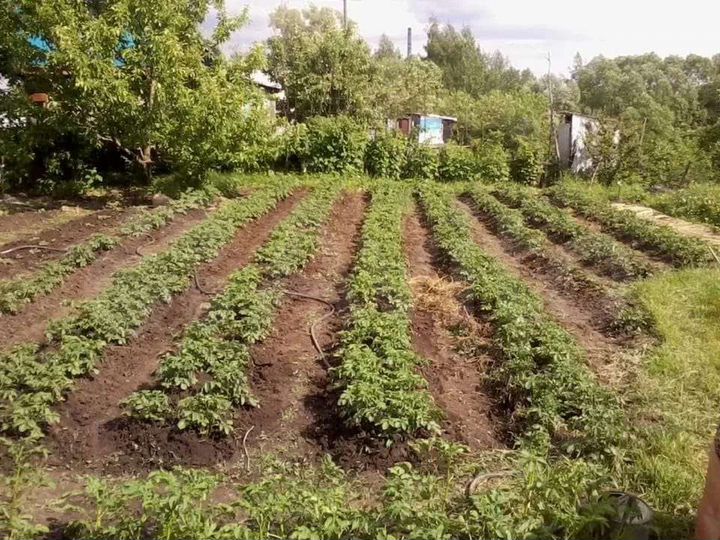 Участок 32 сот. (ИЖС)