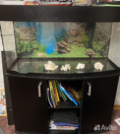 Аквариум с тумбой 200 литров